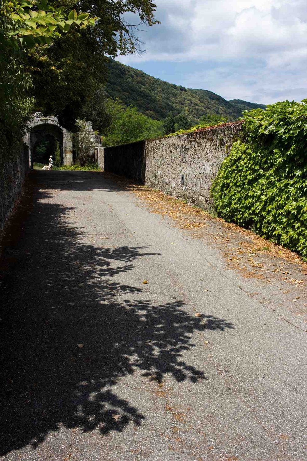 Savoie, abbaye hautecombe, chanaz