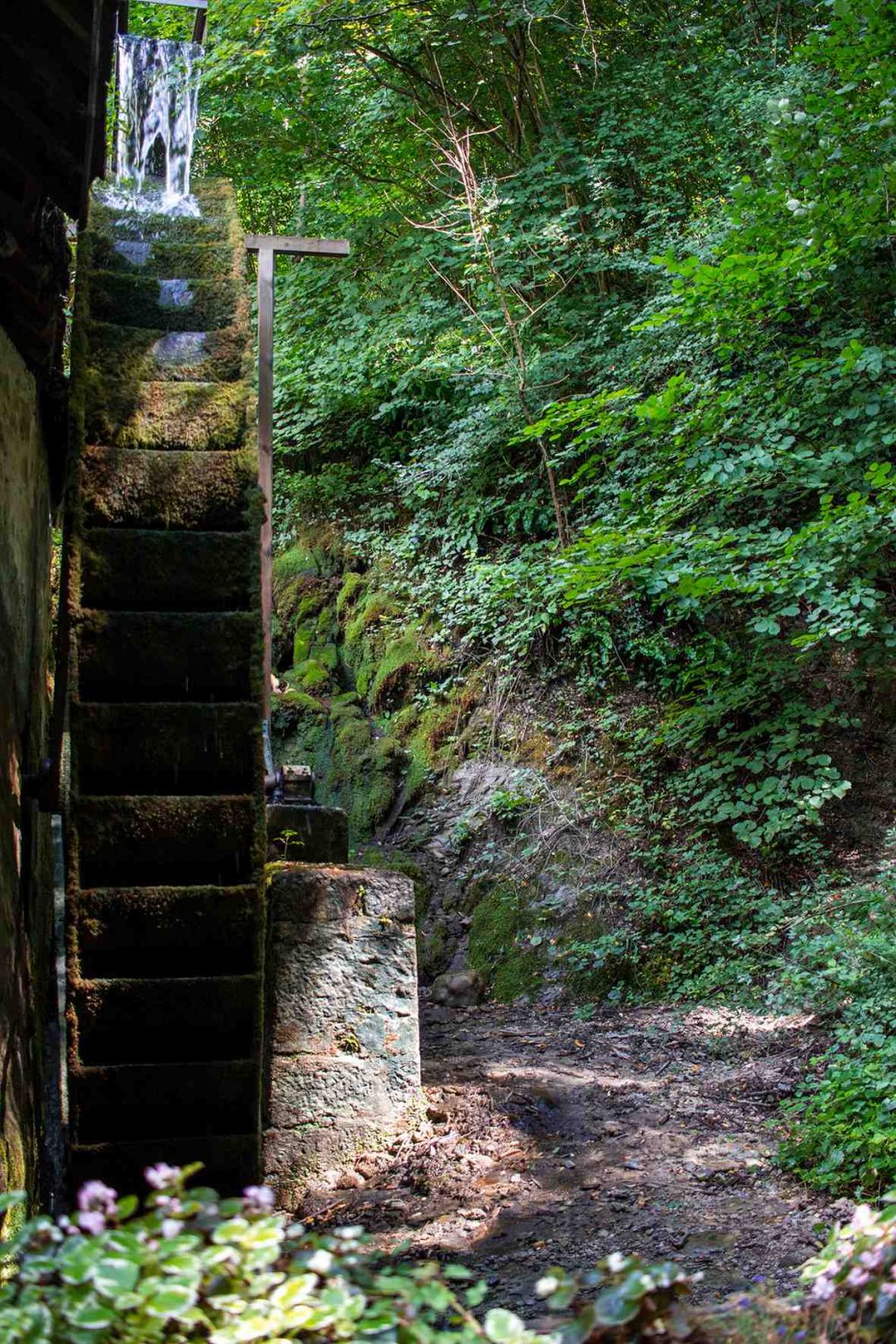 Savoie, abbaye hautecombe, chanaz