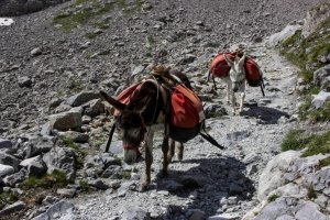 parc national de la vanoise