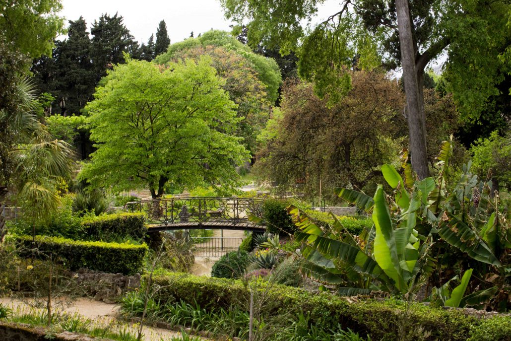 giardino botanico di Montpellier