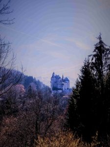il castello della bella addormentata nel bosco
