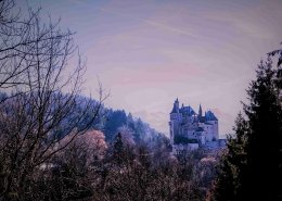 il castello della bella addormentata nel bosco