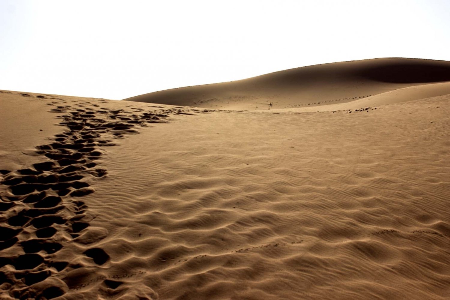 come andare nel deserto del Sahara