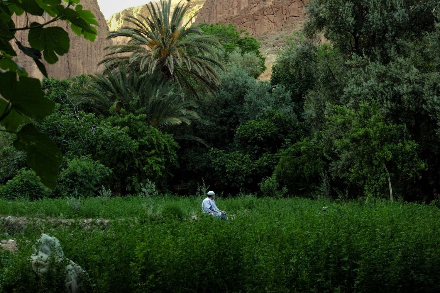 organizzare un viaggio in Marocco