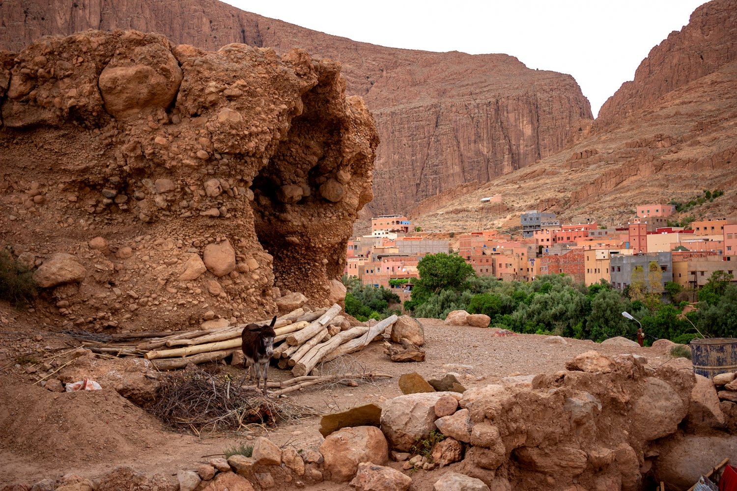 Gole del Todra: panorama sul villaggio con asino in primo piano