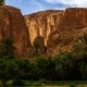 Gole del Todra: palmeto e gole