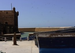 essaouira città di vento: squala de port con barche