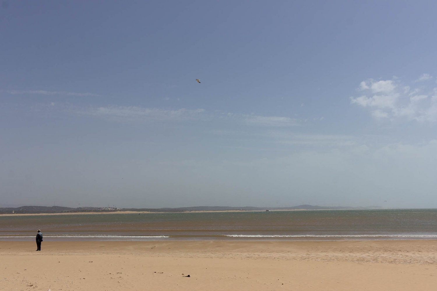 essaouira città di vento: spiaggia e oceano con uomo che osserva