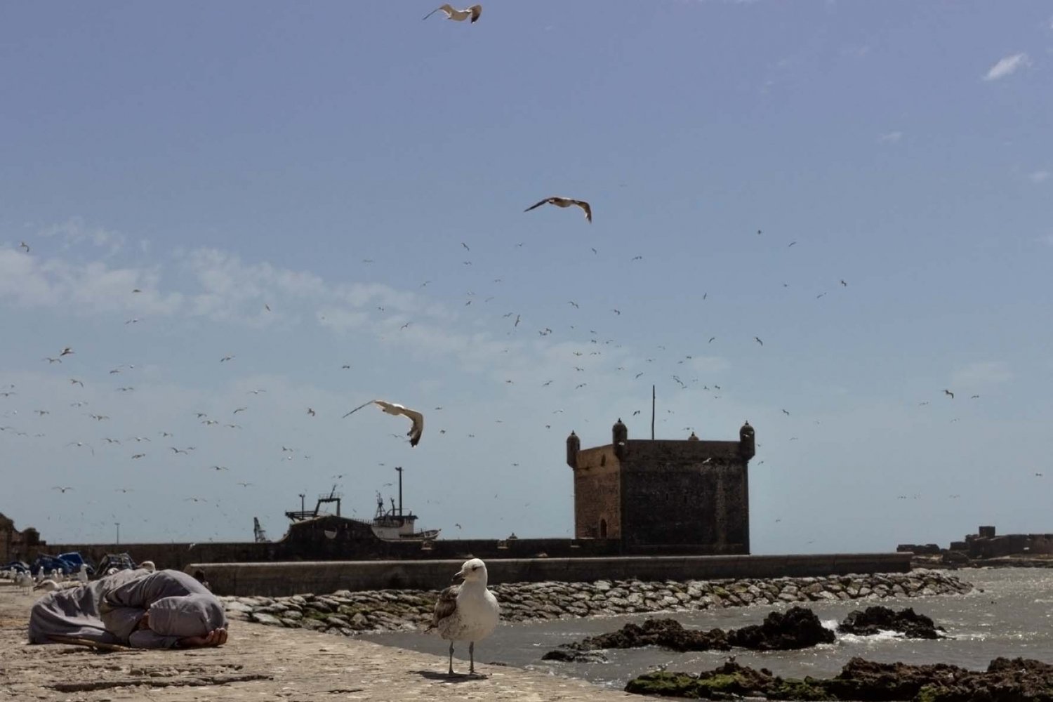 porto di essaouira