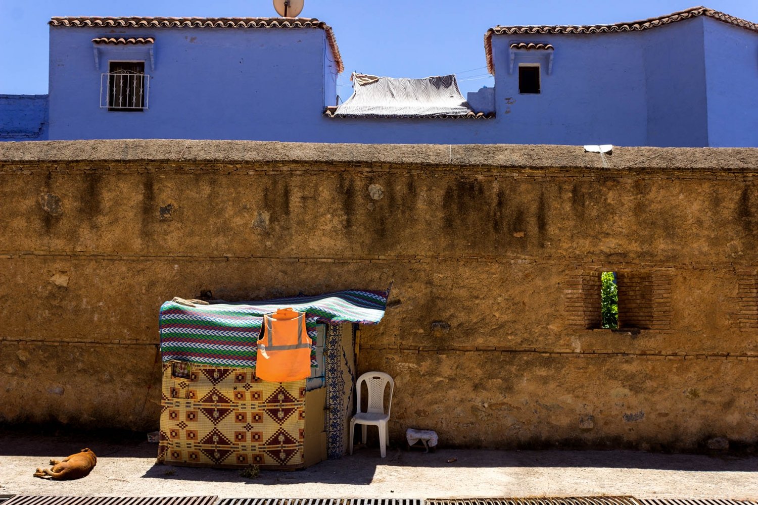 cane dorme fuori dalla medina di chefchaouen