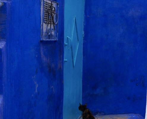 Chefchaouen: porta blu e gatto nero