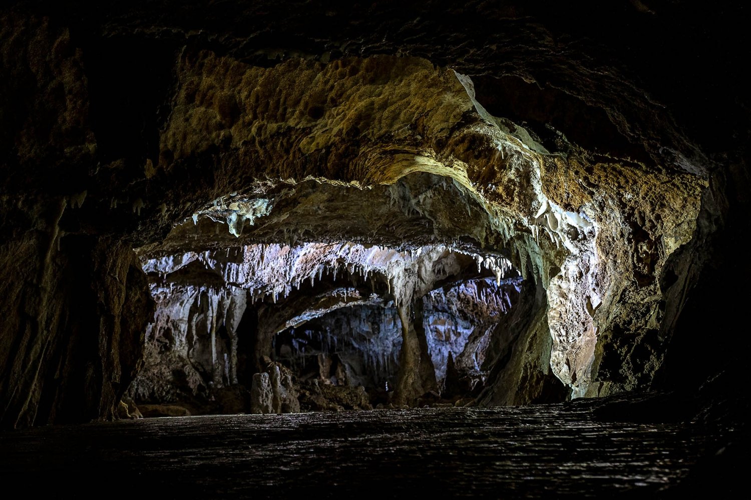 grotta choranche: galleria