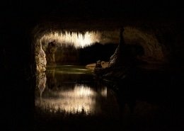 grotta choranche: vista sulle stalattiti tubolari